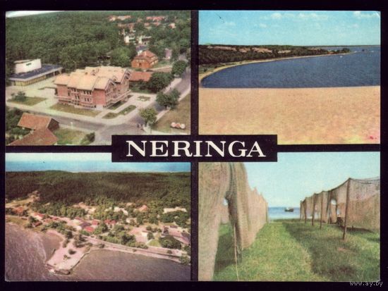 1981 год Неринга