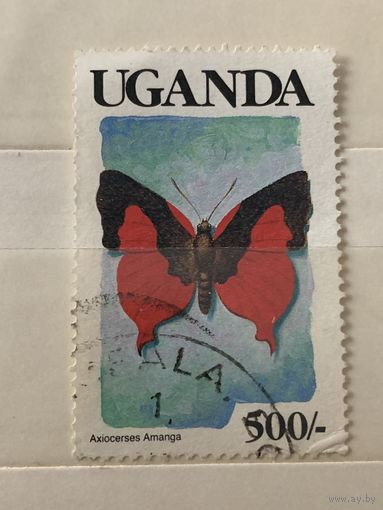 Уганда. Фауна. Бабочки