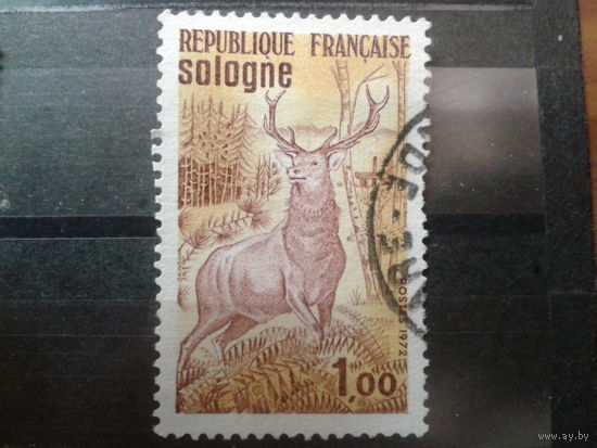 Франция 1972 олень