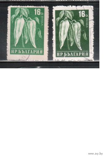 Болгария-1958, (Мих.1081),     гаш. , Стандарт, Овощи, Перец, оттенки