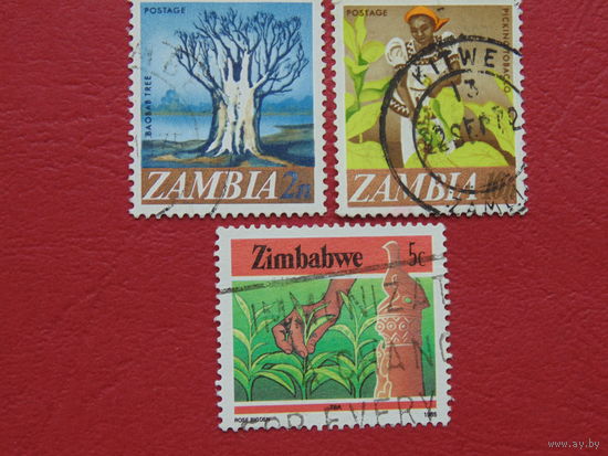 Замбия и Зимбабве 1985г.  Флора.