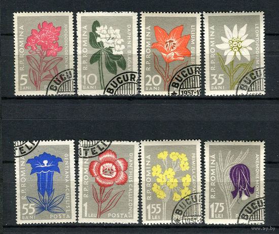 Румыния - 1957 - Цветы Карпатских гор - [Mi. 1647-1654] - полная серия - 8 марок. Гашеные.  (Лот 12AD)