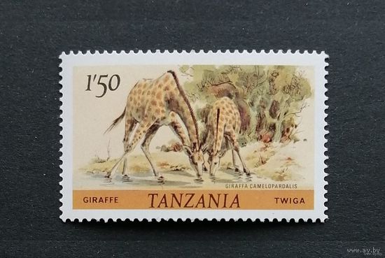 Танзания /1980/ Фауна / жираф