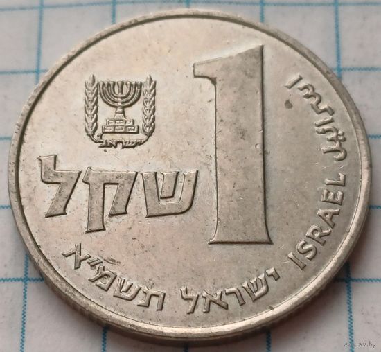 Израиль 1 шекель, 1981     ( 2-7-6 )