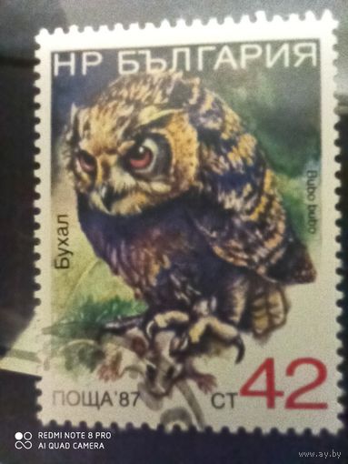 Болгария 1987, Сова
