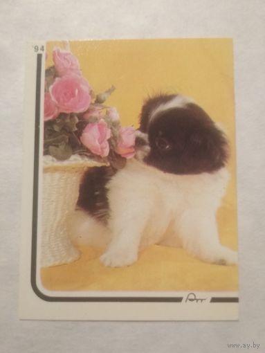 Карманный календарик. Собака.1994 год