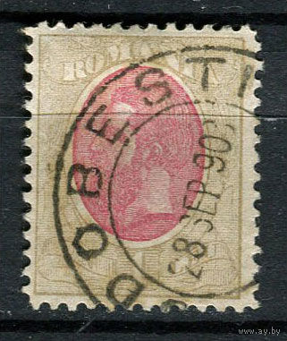 Королевство Румыния - 1900/1911 - Румынский монарх Кароль I 1L - [Mi.141] - 1 марка. Гашеная.  (Лот 67X)