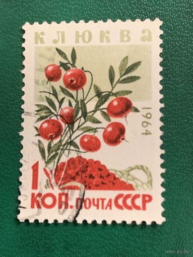 СССР 1964. Флора. Клюква