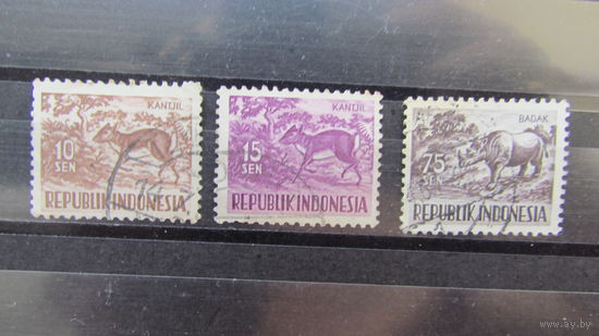 Индонезия 1956г. Домашние животные