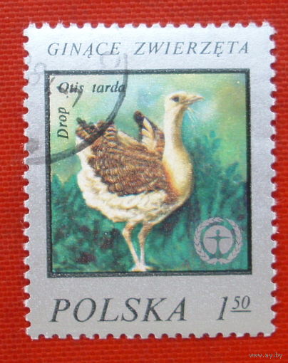 Польша. Фауна. ( 1 марка ).