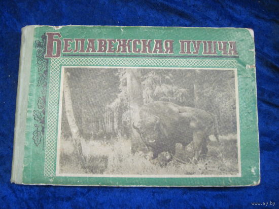 Белавежская пушча. 1957 г.