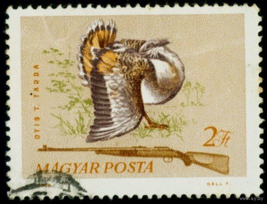 Фауна Венгрии. Животные и птицы. Охотничья серия Венгрия 1964 год 1 марка