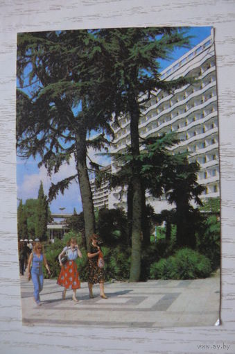 Календарик, 1987, Сочи.
