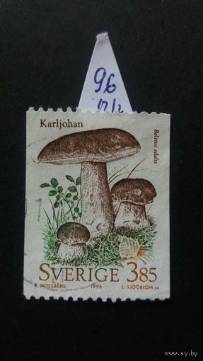 Швеция 1996 грибы
