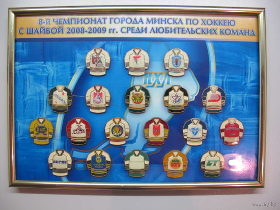 8 чемпионат города Минска по хоккею с шайбой 2008-2009 среди любительских команд