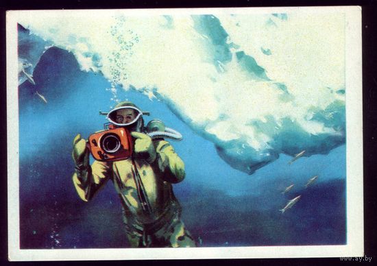 1974 год В.Викторов Подводная съёмка в районе