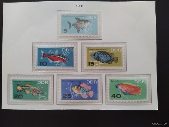 ГДР 1966 г. Рыбы