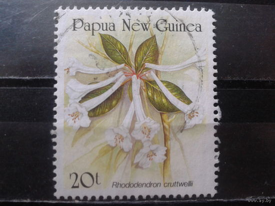 Папуа Новая Гвинея 1989 Рододендрон
