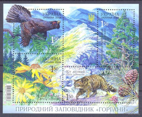 Украина фауна флора заповедник "Горгани"