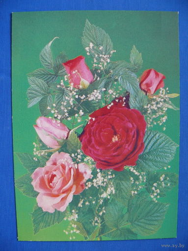 Дергилев И., Цветы; 1986, 1987, чистая.