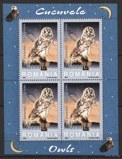 2003 Румыния Фауна Птицы Хищники Совы