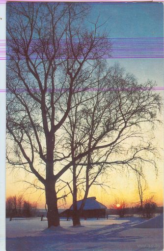 Природа. Зимний вечер. Фото Л. Вейсмана. 1985 год