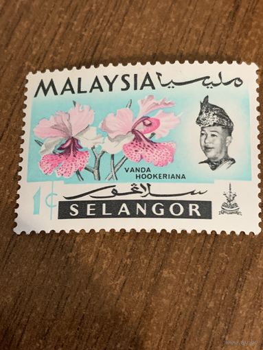 Малайзия 1965. Цветы. Орхидеи. Марка из серии