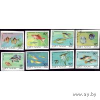8 марок 1981 год Вьетнам Рыбы Беззубцовки