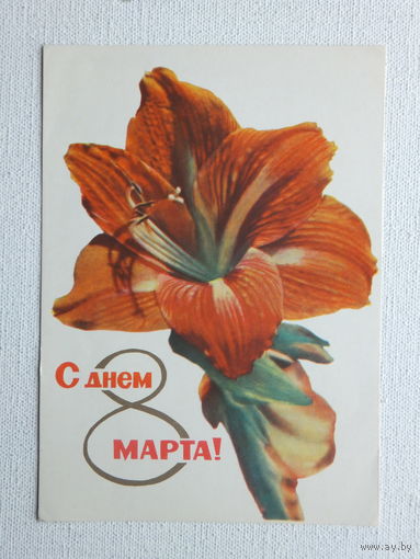 Удин 8 марта 1965  открытка БССР  10х15 см