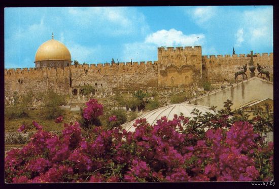 Израиль Иерусалим Золотые ворота