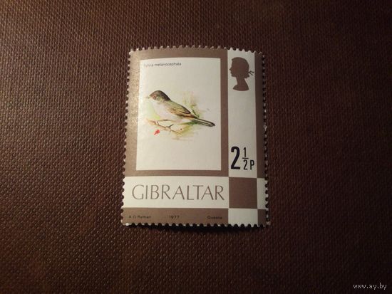 Гибралтар 1977 г.Средиземноморская славка.