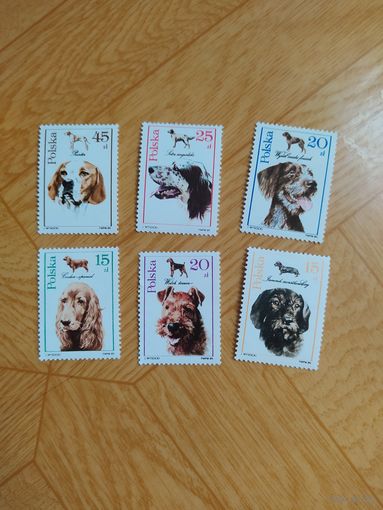 Польша серия марок 1989 г. Фауна. Собаки.