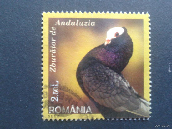 Румыния 2005 голубь  марка из блока