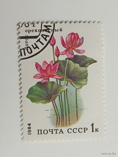 1984 СССР Водные цветы. Лотос орехоносный