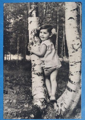Яковлева Г. Девочка и березка. Фотооткрытка. 1964 г. Чистая