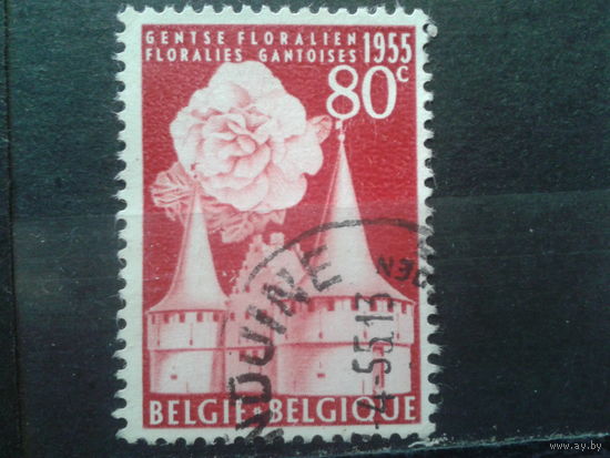 Бельгия 1955 Бегония, выставка цветов в Генте