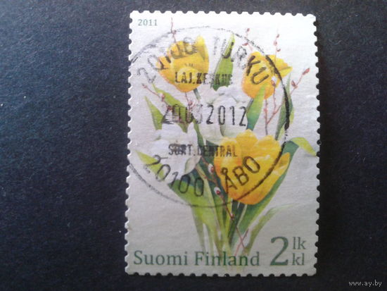 Финляндия 2011 пасха, тюльпаны