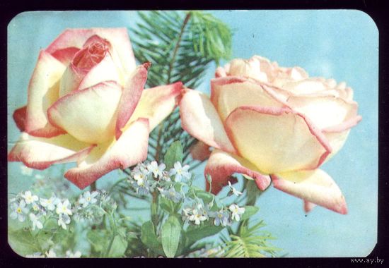 1 календарик Две розы
