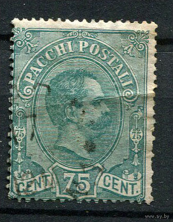 Королевство Италия - 1884/1886 - Посылочная марка - Король Умберто I 75С - [Mi.4Pk] - 1 марка. Гашеная.  (Лот 78AD)