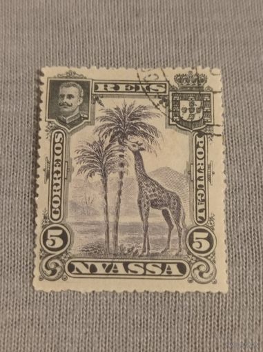 Португальский Мозамбик 1901 года. Ньяса. Жираф. 5 рейсов