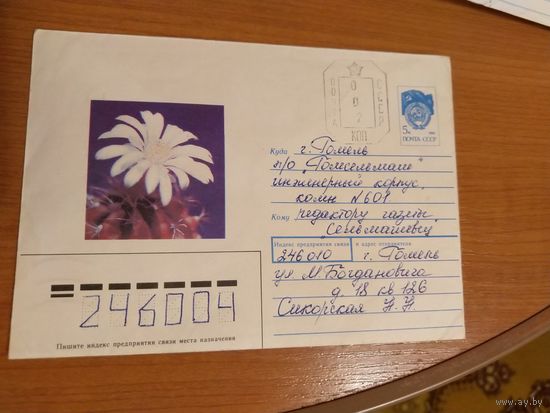 1991 Последние провизории СССР - БССР провизорий Гомель  флора цветы кактус
