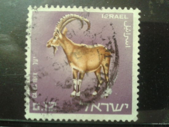 Израиль 1967 Козел