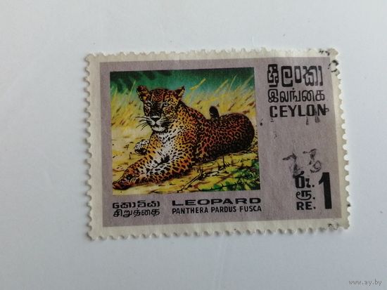 Цейлон 1970. Дикая природа