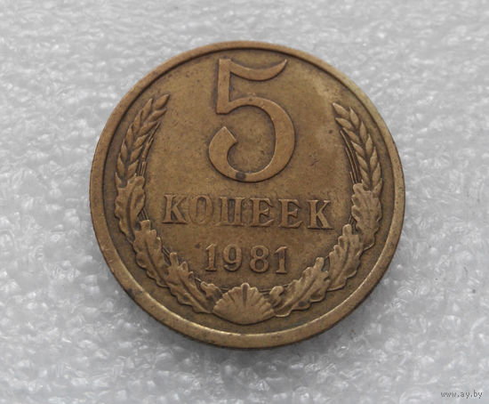 5 копеек 1981 СССР #03