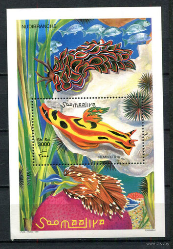 Сомали - 1999 - Морская фауна. Голожаберники - [Mi. bl. 65] - 1 блок. MNH.  (Лот 164AW)