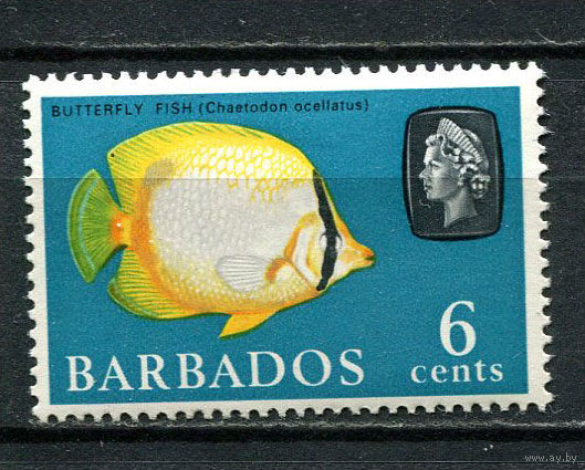 Британские колонии - Барбадос - 1965/1967 - Морская фауна 6С - [Mi.240X] - 1 марка. MH.  (Лот 73Dh)