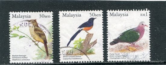 Малайзия. Фауна. Птицы
