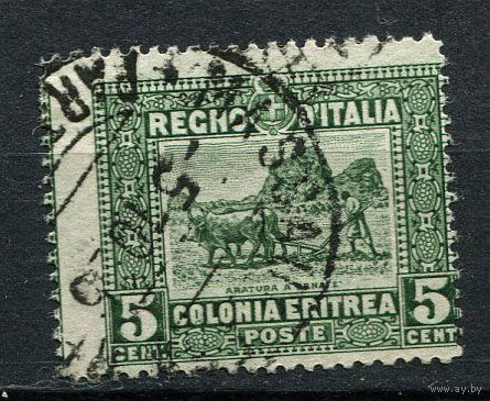 Итальянские колонии - Эритрея - 1910/1929 - Пахарь 5С - [Mi.39A] - 1 марка. Гашеная.  (Лот 88Y)