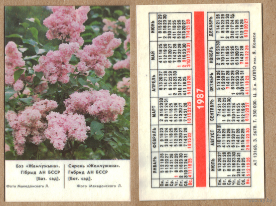 Календарь Сирень Жемчужина 1987