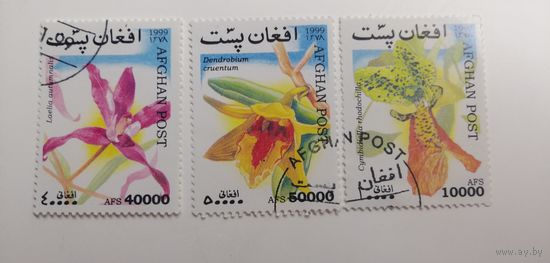 Афганистан 1999. Орхидеи.